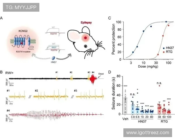 新2体育的奖金策略详解：怎样在平台上获得更高的收益