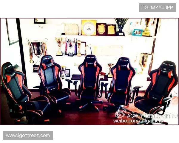 AG体育平台全面升级助力玩家体验提升实现多元化娱乐新突破