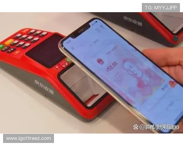 解析凯发真人首页的多样化支付方式与优惠活动